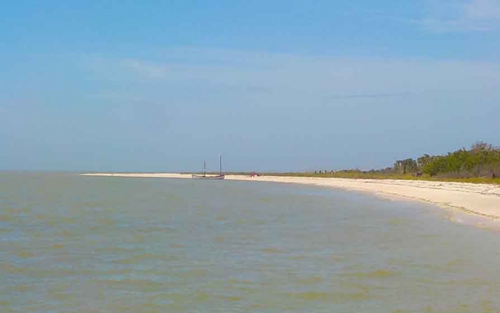florida gap year program